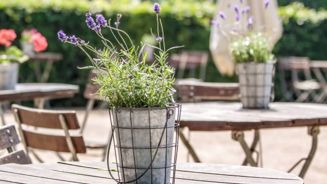 s_tisch blumen Wissenswertes Dänisch - Spracheninstitut Universität Leipzig
